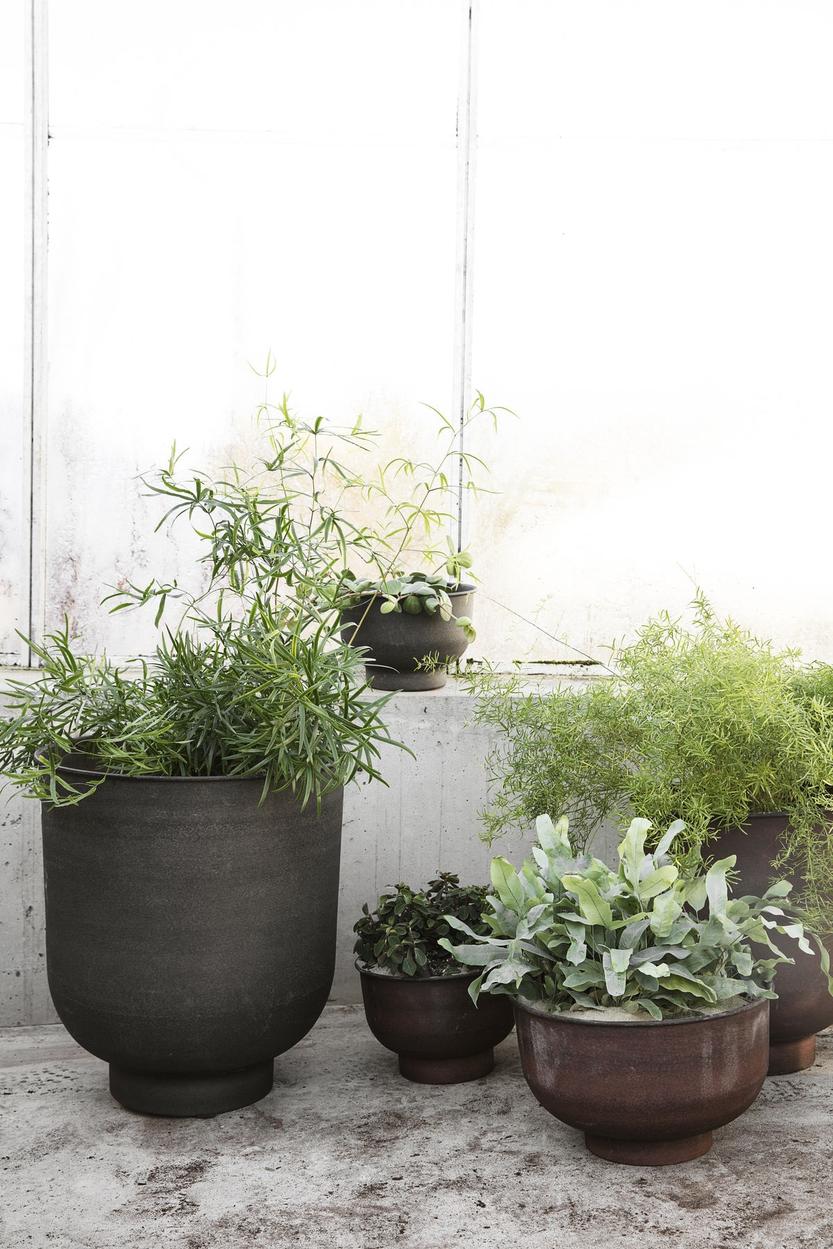 Styling_Planter_BySteinvig_Indretningsarkitekt_Indretningshjælp_Potter_Krukker_planter Styling_Planter_BySteinvig_Indretningsarkitekt_Indretningshjælp_Potter_Krukker_planter