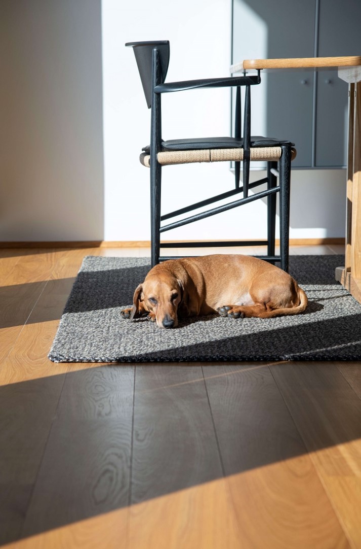 Gravhund_Spisestue_Sol_LysIndfald_IndretningsHjælp_BySteinvig (2) Gravhund_Spisestue_Sol_LysIndfald_IndretningsHjælp_BySteinvig
