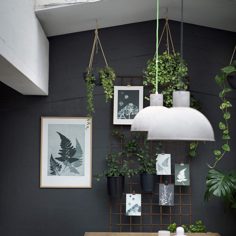 Pernille Folcarelli botanisk havestue Pernille Folcarelli botanisk havestue