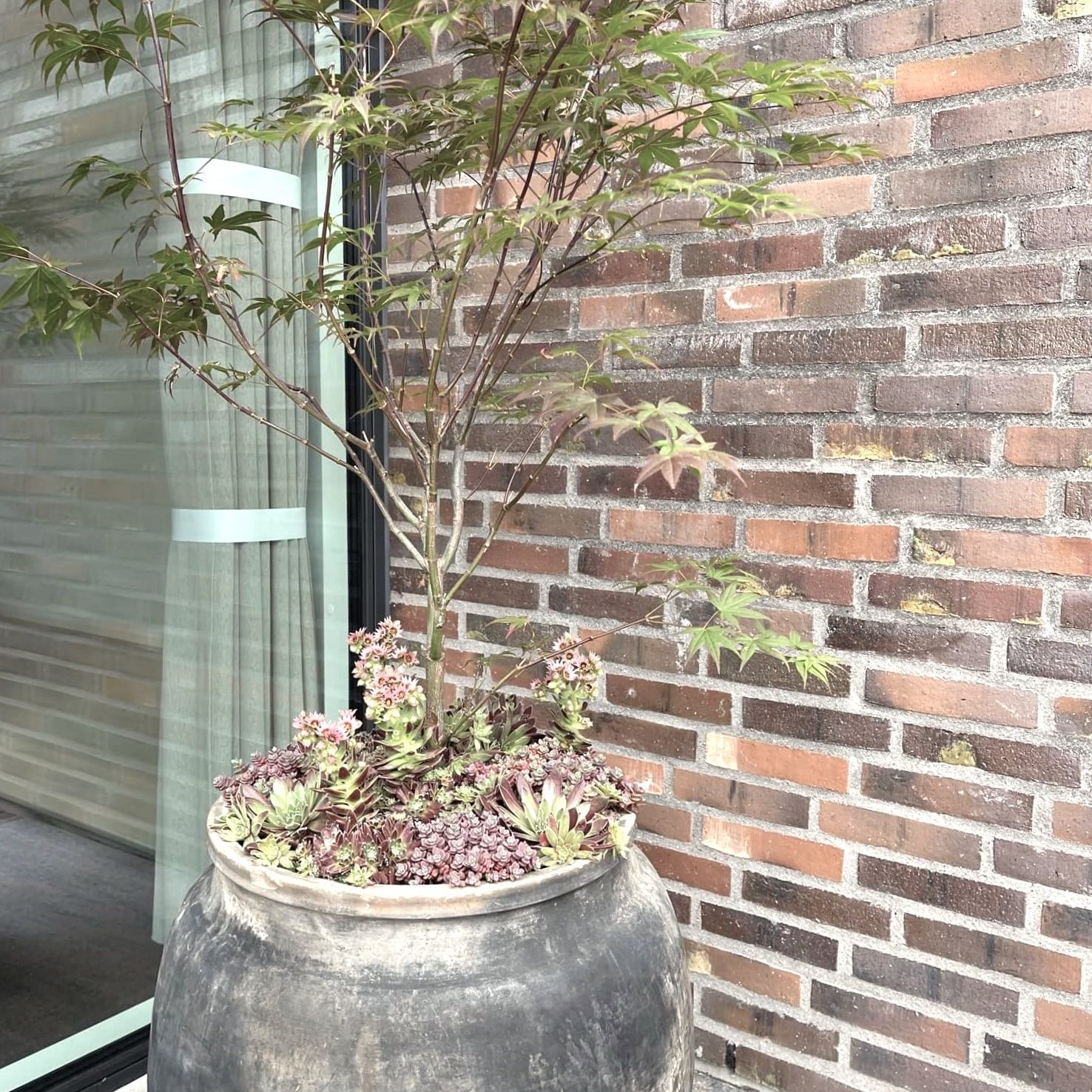 indretning_bysteinvig_planter_styling_facade_leibhaveri_mur indretning_bysteinvig_planter_styling_facade_leibhaveri_mur
